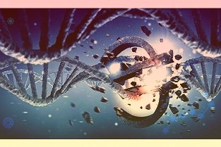 《艾尔登法环》首周PC销量超500万:新补丁发布性能大改善、好评暴增!